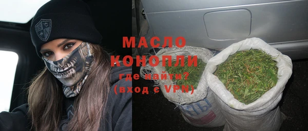 гидра Гусев