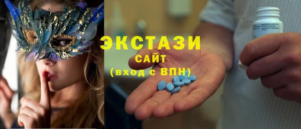 гидра Гусев