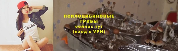 марки nbome Гусь-Хрустальный