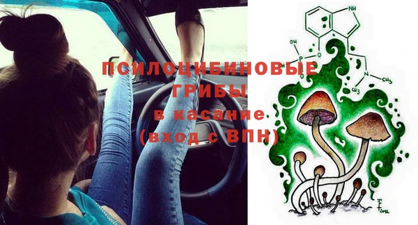 твердый Гусиноозёрск
