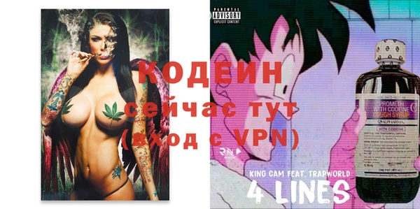 гидра Гусев