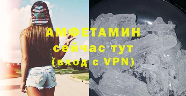 гидра Гусев