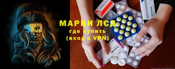 гидра Гусев
