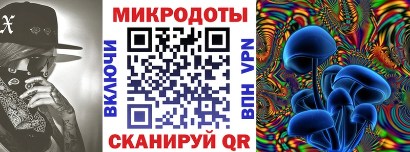 Псилоцибиновые грибы Psilocybe  Купить  Ипатово 